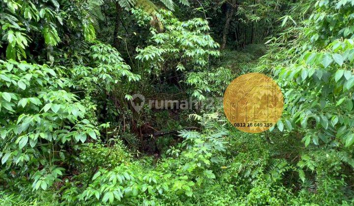 Tanah Pekarangan View Sungai Cangkringan Harga Bu 4