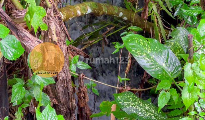 Tanah Pekarangan View Sungai Cangkringan Harga Bu 5
