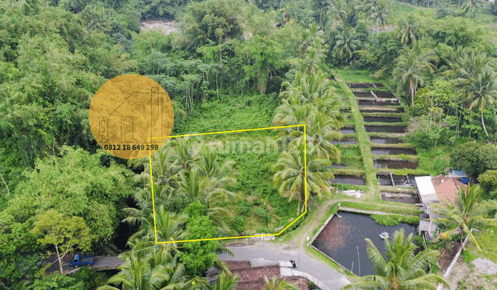 Tanah Pekarangan Pinggir Sungai Harus Milik Sekarang 1