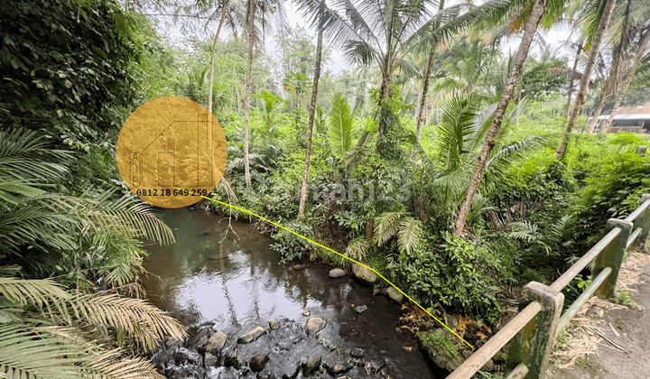 Tanah Pekarangan Pinggir Sungai Harus Milik Sekarang 4