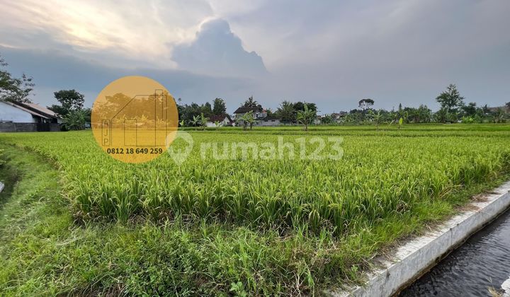 Tanah Termurah Jalan Kaliurang Km 12 Harus Beli Sekarang 6