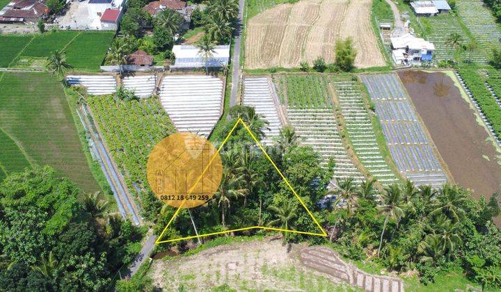 Tanah Pinggir Parit View Sawah Gunung Akses Mudah Donokerto Turi 1