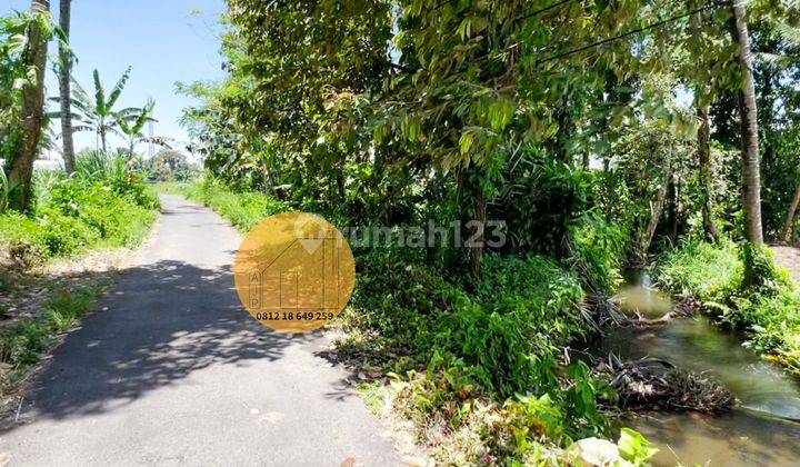 Tanah Pinggir Parit View Sawah Gunung Akses Mudah Donokerto Turi 4