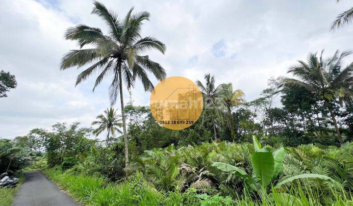 Tanah Pekarangan Turi Wonokerto Dialiri Parit Termurah  4