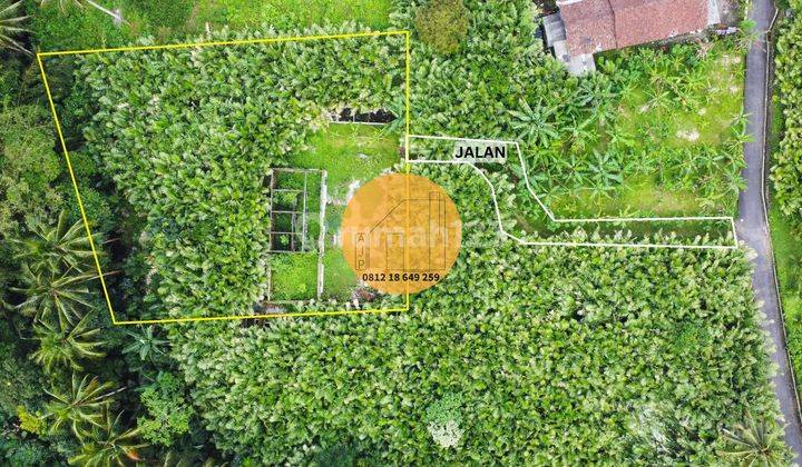Tanah Pekarangan Pinggir Sungai Tersembunyi Termurah 1