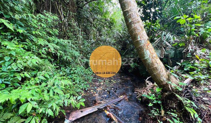 Tanah Pekarangan Pinggir Sungai Tersembunyi Termurah 4