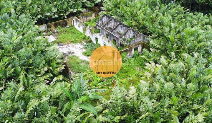 Tanah Pekarangan Pinggir Sungai Tersembunyi Termurah 9