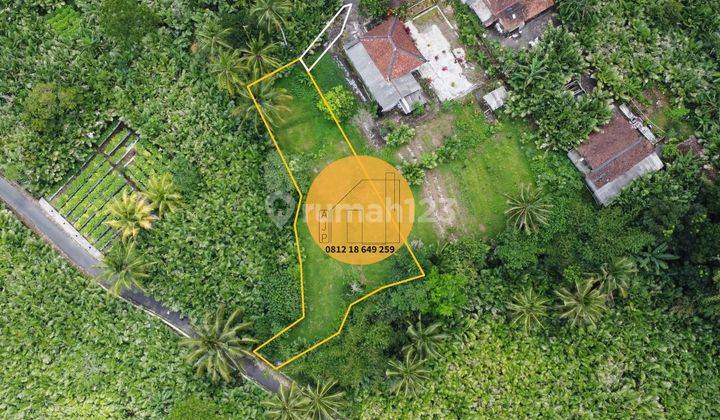 Tanah Pekarangan Turi Bangunkerto 2 Muka Akses Jalan Aspal  1