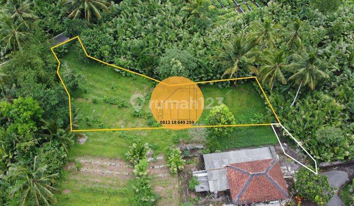 Tanah Pekarangan Turi Bangunkerto 2 Muka Akses Jalan Aspal  2