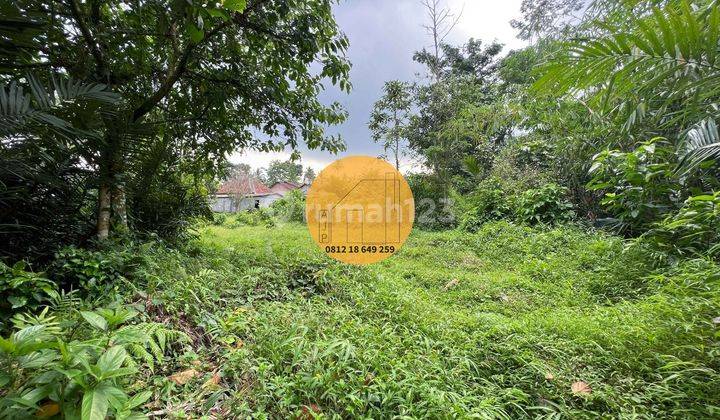 Tanah Pekarangan Turi Bangunkerto 2 Muka Akses Jalan Aspal  7