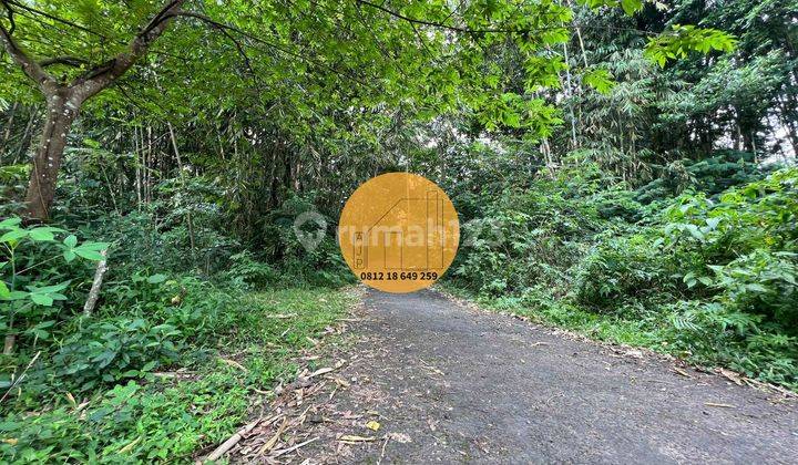 Tanah Pinggir Jurang Sungai Boyong Daerah Sejuk Dingin  4