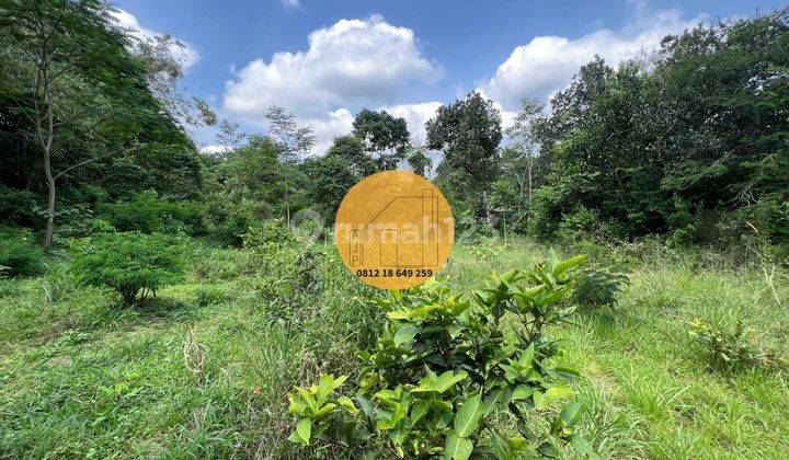 Tanah Pinggir Jurang Sungai Boyong Daerah Sejuk Dingin  6