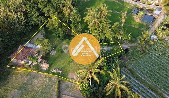 Rumah Mungil Tengah Sawah Kaya View Sayegan 5