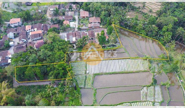 Tanah Cangkringan Berkontur Mirip Ubud View Gunung  2