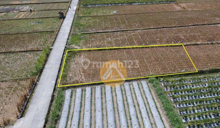 Tanah Selatan Masjid Suciati Gito Gati Termurah 2