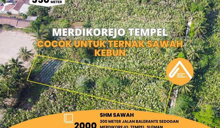 Tanah Tempel Merdikorejo Cocok Untuk Ternak Sawah Kebun 1