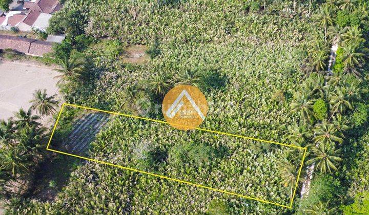 Tanah Tempel Merdikorejo Cocok Untuk Ternak Sawah Kebun 2