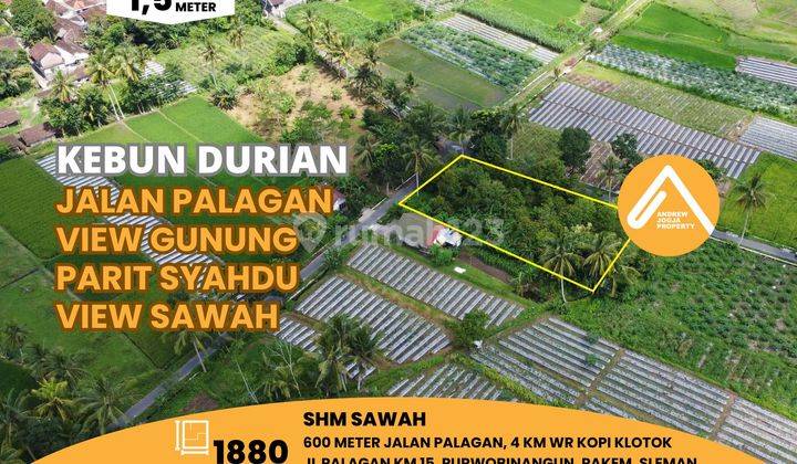 Tanah Palagan Kebun Durian Asri Parit Syahdu View Gunung Sawah 1