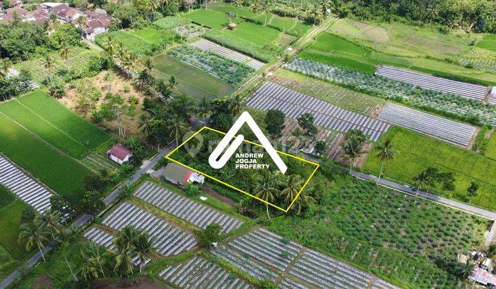 Tanah Palagan Kebun Durian Asri Parit Syahdu View Gunung Sawah 2