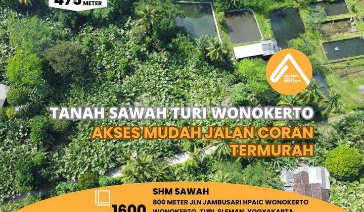 Tanah Sawah Turi Wonokerto Termurah Harga Bu 1