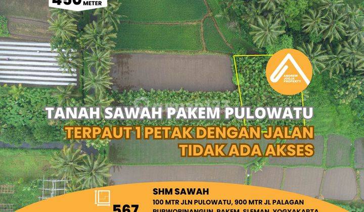 Tanah Sawah Selatan Pulowatu Tanpa Akses Cocok Untuk Bertanam 1