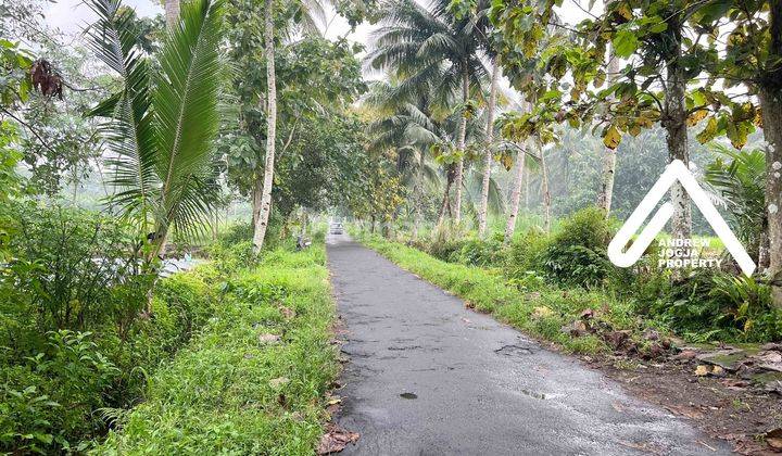 Tanah Sawah Selatan Pulowatu Tanpa Akses Cocok Untuk Bertanam 2