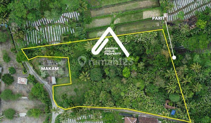 Tanah Pekarangan Turi Luas Asri Sejuk Murah Samping Makam 2