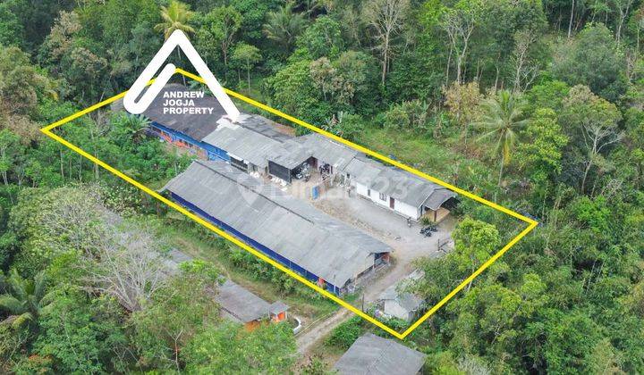 Jual Tanah Pakem Bonus Rumah Dan Kandang Ayam  2