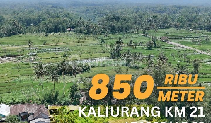 Jual Tanah Pakem View Gunung Jalan Kaliurang KM 21