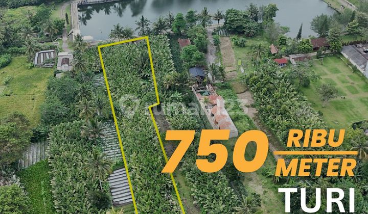 Sell Land with Embung Turi View Cheap Price Cool and Beautiful Environment