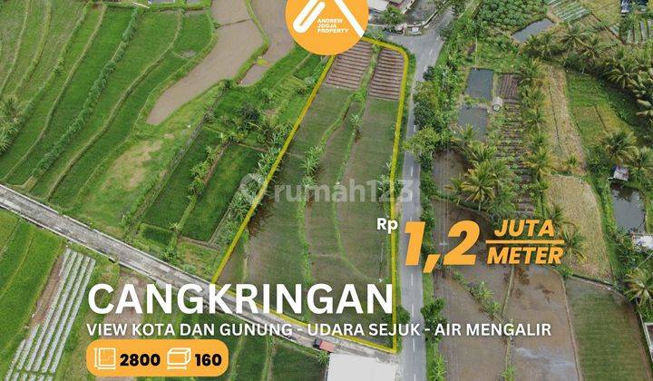 Tanah Cangkringan Pinggir Jalan View Sawah Gunung Kota Air Sejuk  1