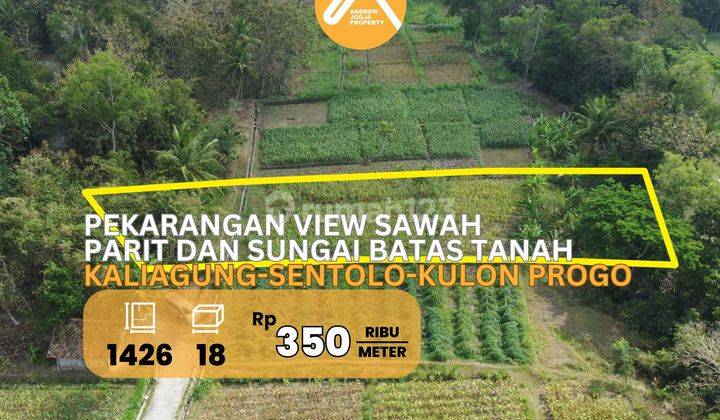 Tanah Pekarangan Sentolo Kulon Progo View Sawah Parit Dan Sungai 1