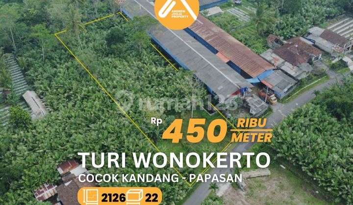 Jual Tanah Turi Wonokerto Cocok Untuk Bertanam dan Ternak Jual Tanah Turi Wonokerto Cocok Untuk Bertanam dan Ternak