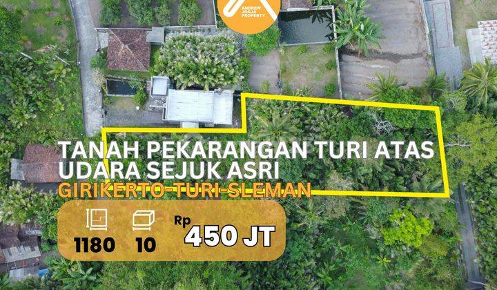 Jual Tanah Turi Pekarangan Luas Udara Sejuk Lingkungan Asri 1