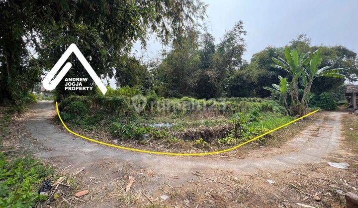 Jual Tanah Turi Pekarangan View Sawah Parit Mengalir  2