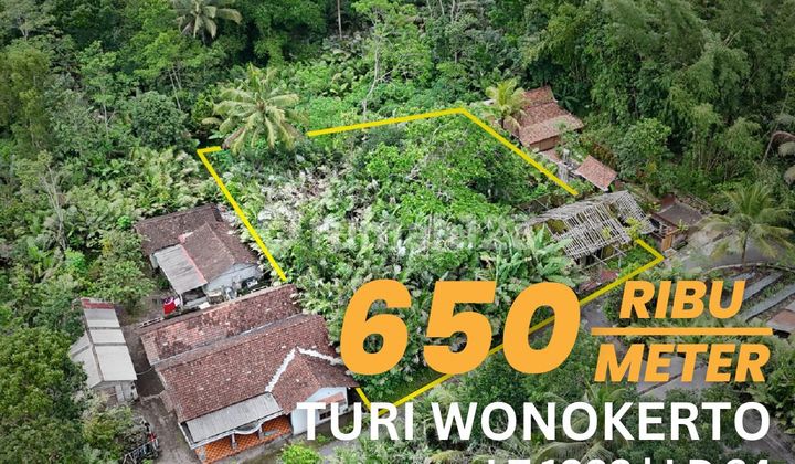 Jual Tanah Pekarangan Turi Dekat Balai Desa Wonokerto Udara Sejuk Lingkungan Asri