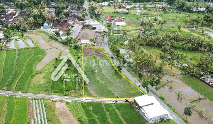 Tanah Cangkringan Pinggir Jalan View Sawah Gunung Kota Air Sejuk  2