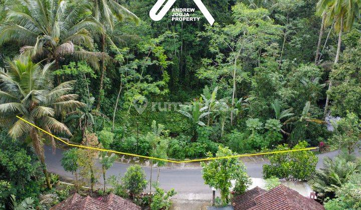 Tanah Pekarangan Turi Girikerto Air Sejuk Mengalir  2