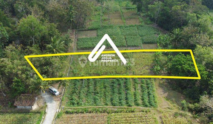 Tanah Pekarangan Sentolo Kulon Progo View Sawah Parit Dan Sungai 2