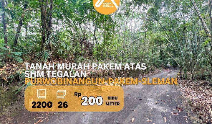 Tanah Tegalan Pakem Atas Murah Pohon Rindang Asri 1