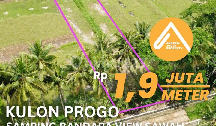 Jual Tanah Kulon Progo Samping Bandara Harga BU View Sawah Sungai Parit Sejuk Mengalir Jual Tanah Kulon Progo Samping Bandara Harga BU View Sawah Sungai Parit Sejuk Mengalir