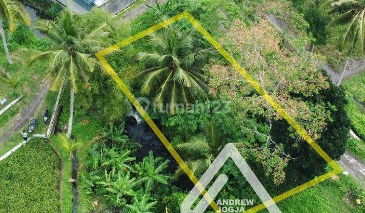 Jual Tanah Pinggir Sungai Pakem View Sawah Udara Sejuk Asri 2