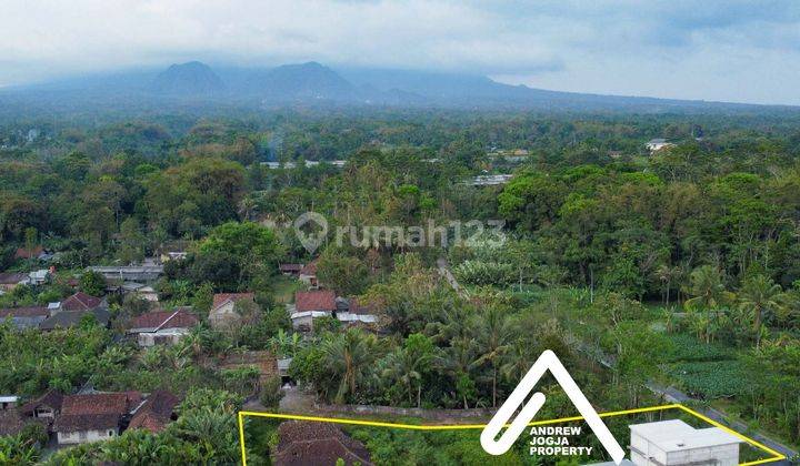 Tanah Pekarangan Pakem Candibinangun View Sawah Gunung Bonus Rumah Lawas 2