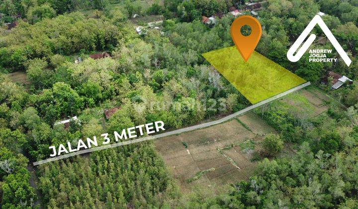 Jual Tanah Pekarangan Kulon Progo Daerah Kawasan Industri  2