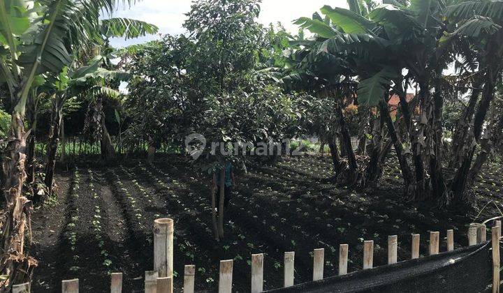 Dijual Tanah Jl. Cihanjuang Atas Dekat Ke Unai Universitas Advent  1