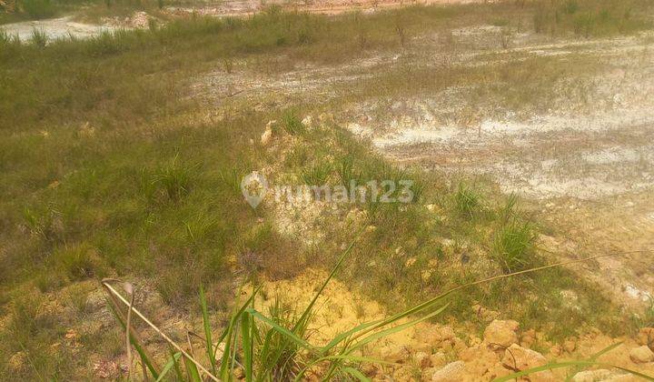 Di Jual Lahan Industri Sangat  Murah  Di Sagulung  Batam  1