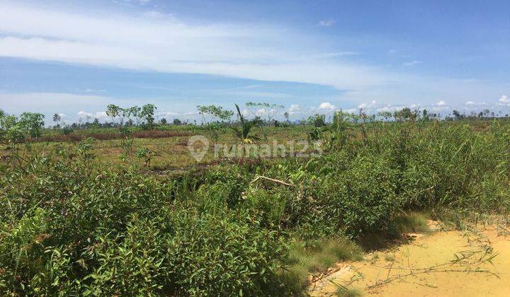 DIJUAL CEPAT TANAH DI SUNGAI RAYA HARGA NEGO SAMPAI JADI  2