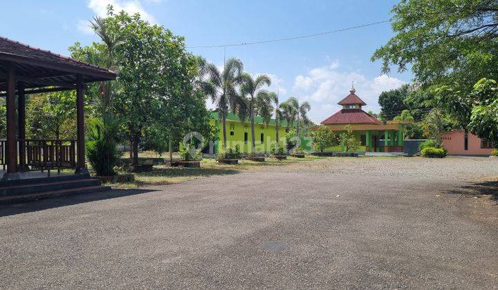 DIJUAL MURAH TANAH LUAS TEPI JALAN RAYA PURWOREJO 7