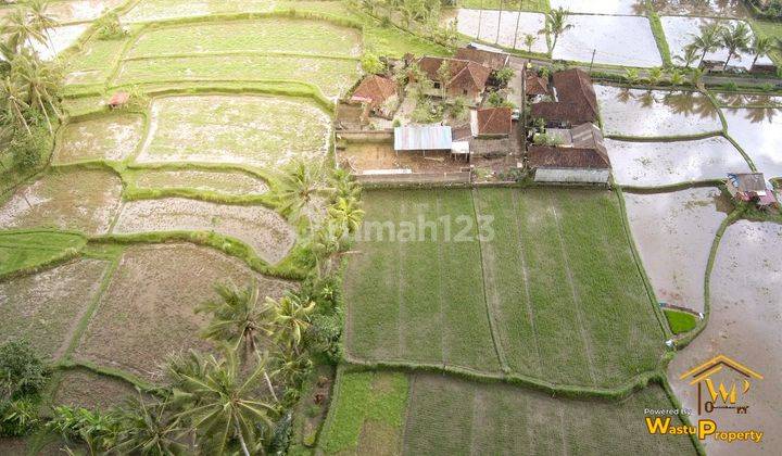 RUMAH BALI DIJUAL CEPAT BU TANAH LUAS DI TAMPAKSIRING 6
