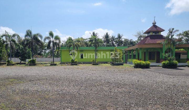 RUMAH MEWAH TANAH SUPER LUAS DIJUAL MURAH DI PURWOREJO 5